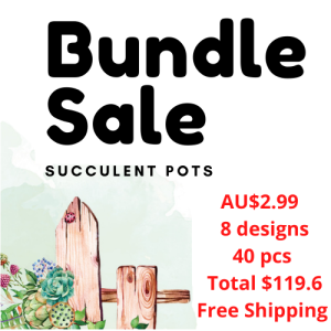 $2.99*40 PCS Bundle Succulent Pots 8 Designs